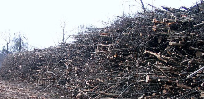 Hackgut und Restholzankauf